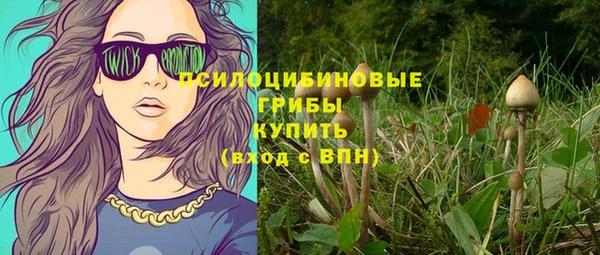 PSILOCYBIN Навашино