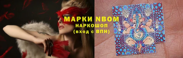PSILOCYBIN Навашино