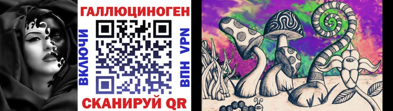 KRAKEN зеркало  Краснодар  Галлюциногенные грибы MAGIC MUSHROOMS 